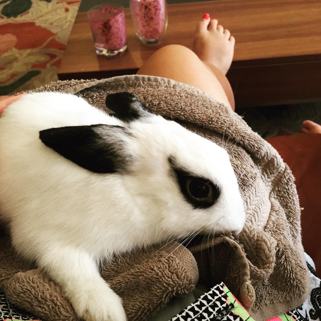 Sharing a relaxing moment with my #bunny #rabbit #Panda #40tothemax